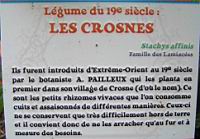 12 - Legume du 19e - Les Crosnes.jpg